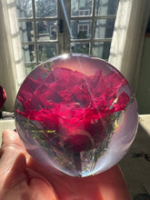 Load image into Gallery viewer, Botanical Red Rose Large Paperweight Made With Real Rose