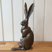 Load image into Gallery viewer, Sitting Hare Bronze Frith Sculpture By Paul Jenkins