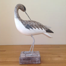 Load image into Gallery viewer, Archipelago Curlew Preening Wood Carving