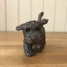 Load image into Gallery viewer, Winnie Cockapoo Running Bronze Frith Sculpture By Adrian Tinsley  on